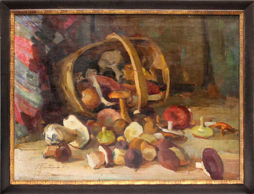 Подобедов Роман Леонидович. Грибы на солнце и в тени 